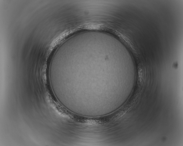 X0000116120682200912141046