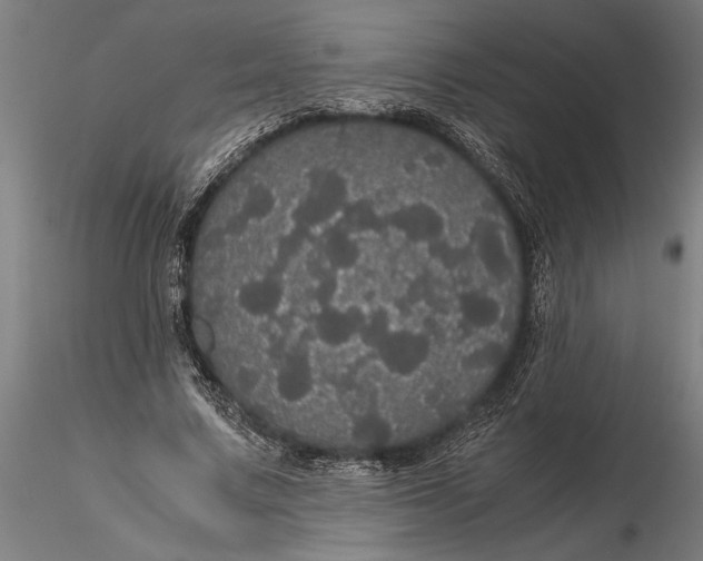 X0000116120683200912141046