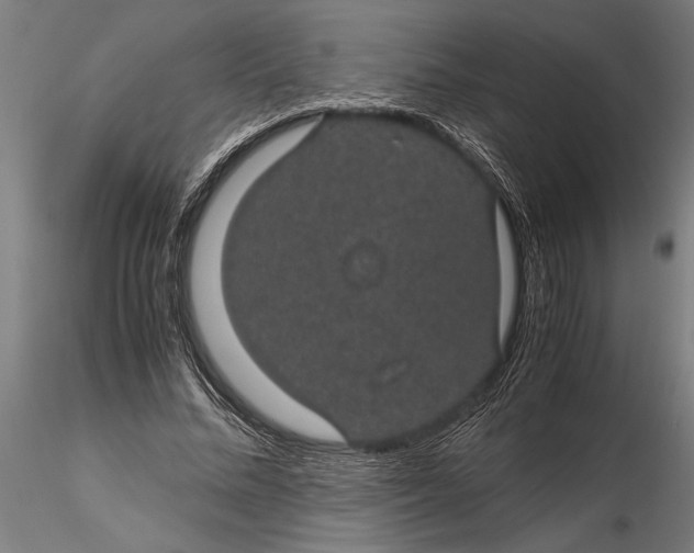 X0000116120684200912141046