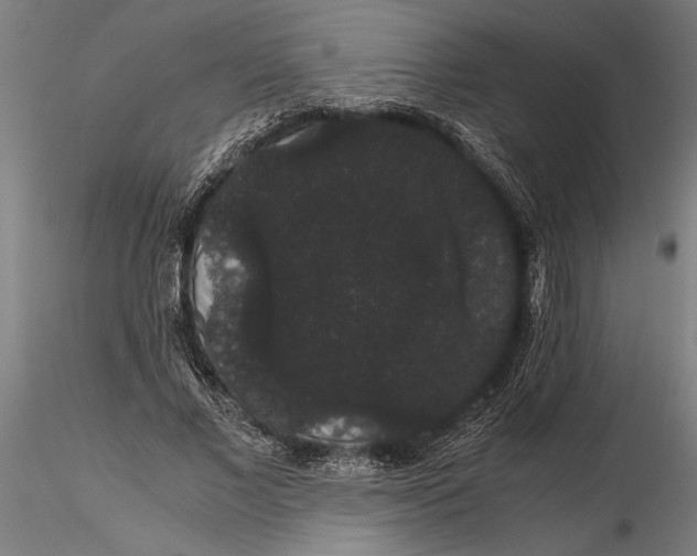 X0000116120685200912141046