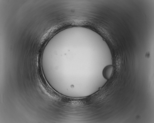 X0000116120686200912141046