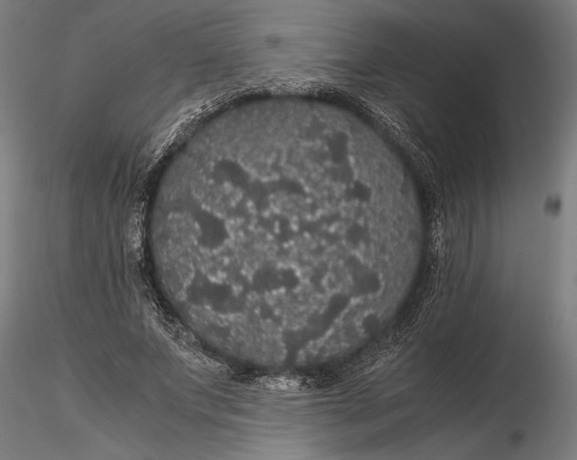 X0000116120687200912141046