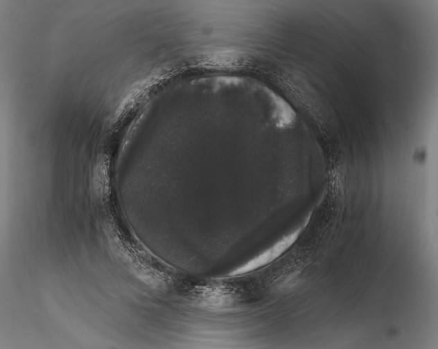 X0000116120688200912141046