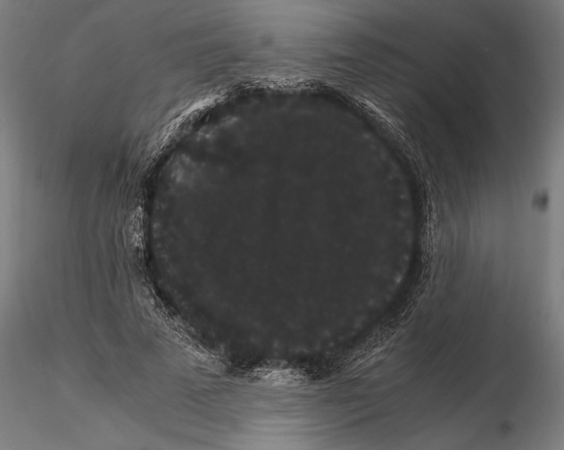 X0000116120689200912141046