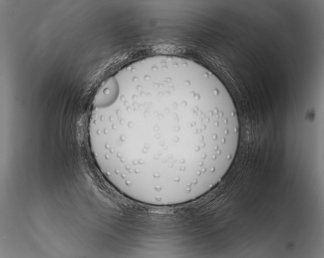 X0000116120690200912141046