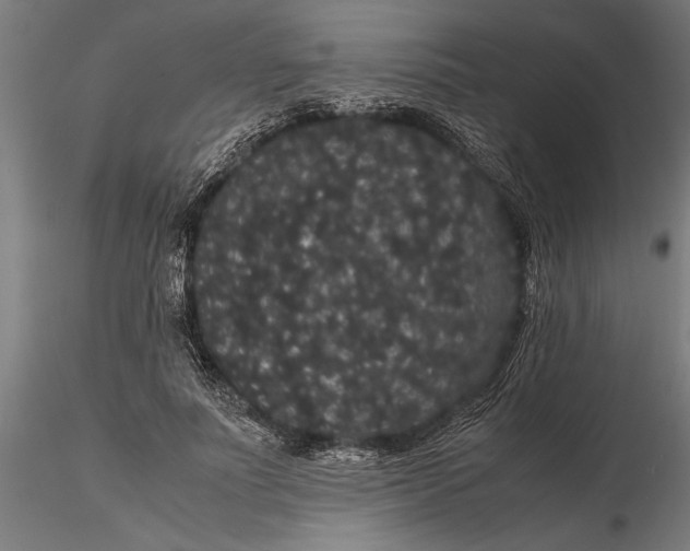 X0000116120691200912141046