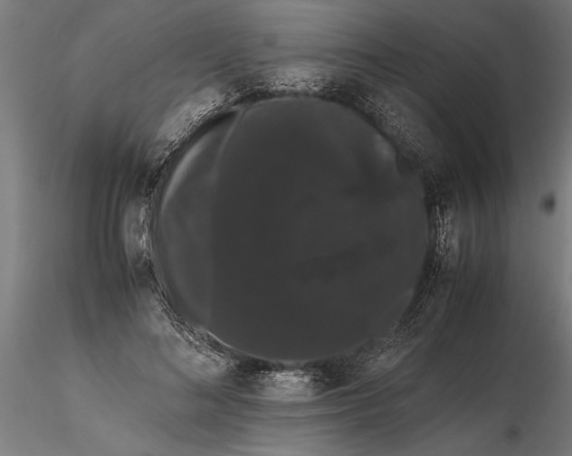 X0000116120692200912141046