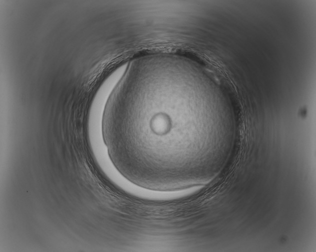 X0000116120693200912141046