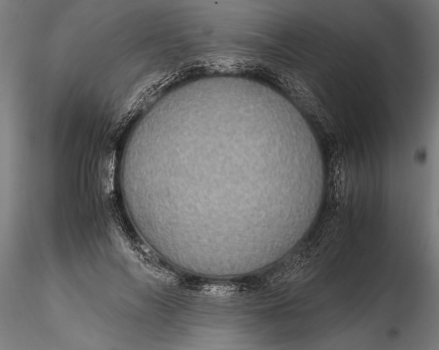 X0000116120694200912141046