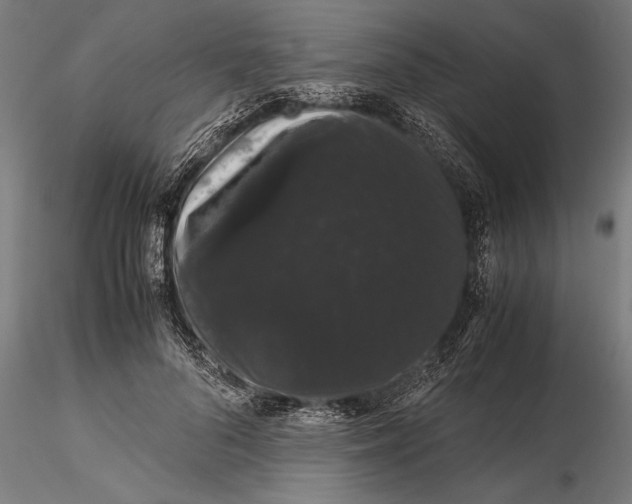 X0000116120696200912141046