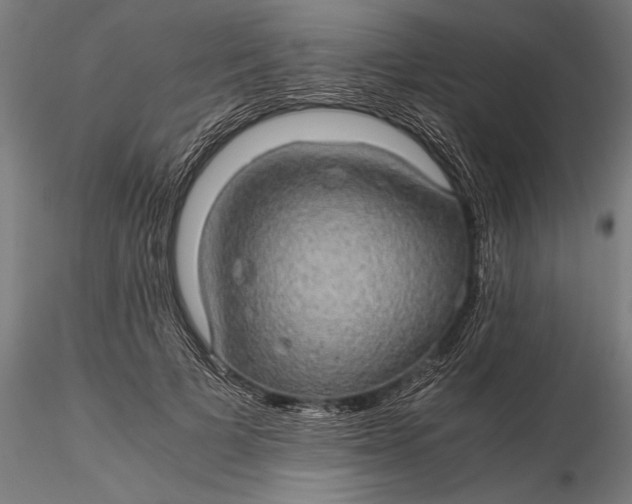 X0000116120697200912141046