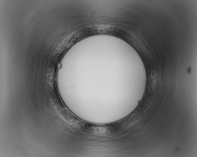 X0000116120698200912141046