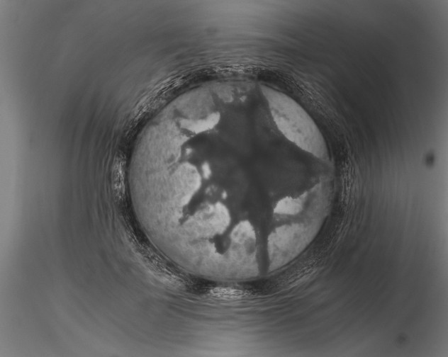 X0000116120699200912141046