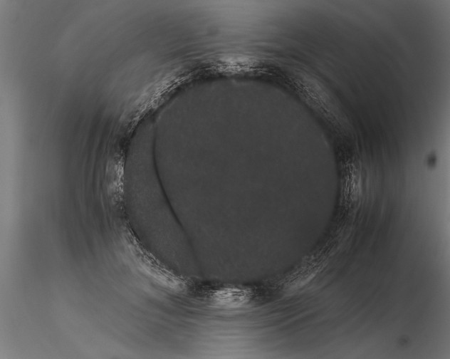 X0000116120700200912141046