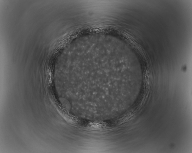 X0000116120703200912141046