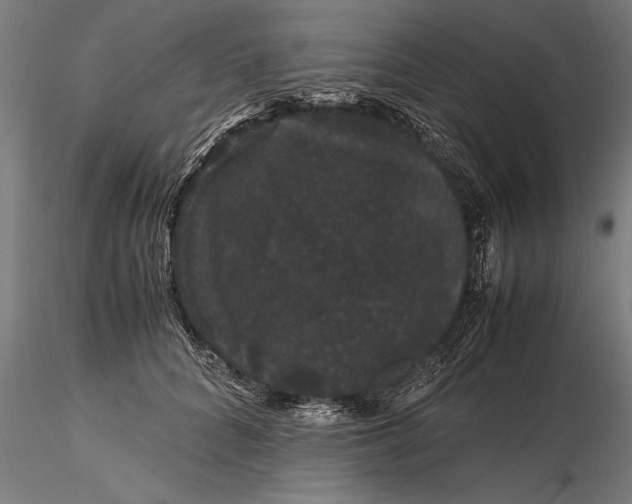 X0000116120704200912141046