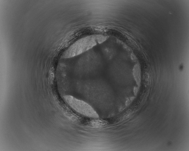 X0000116120707200912141045