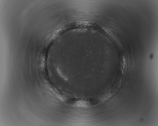 X0000116120708200912141045