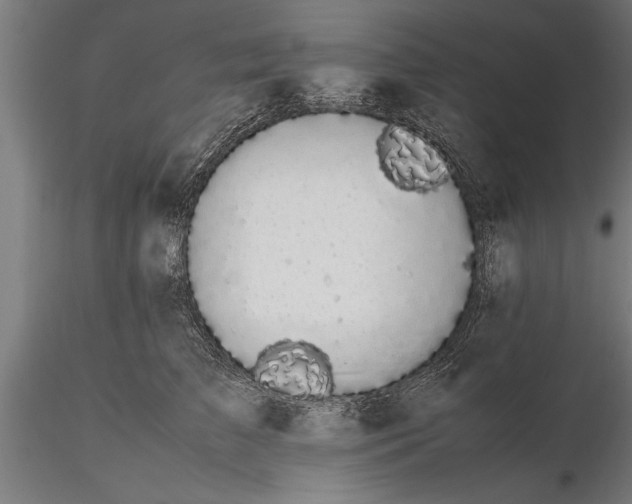 X0000116120709200912141045