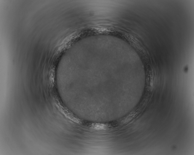 X0000116120710200912141045