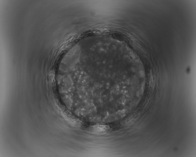 X0000116120711200912141045