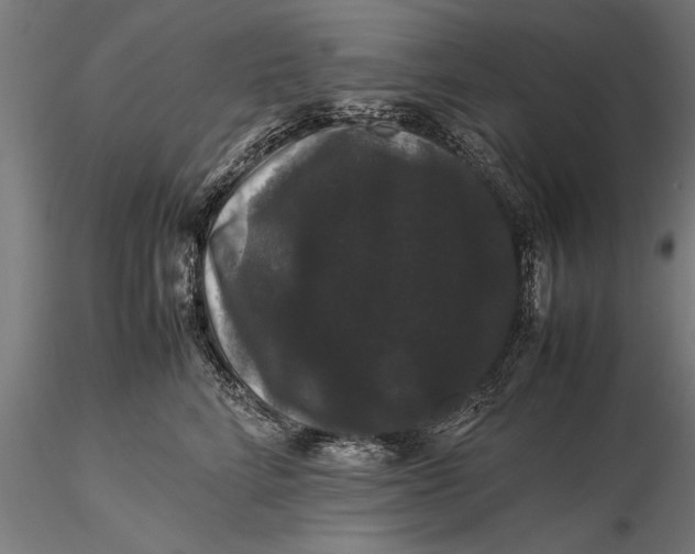 X0000116120712200912141045