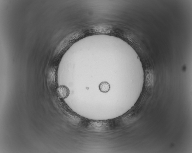 X0000116120713200912141045