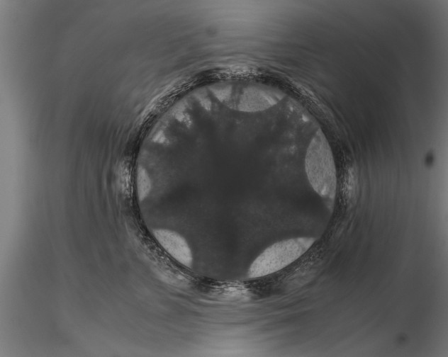 X0000116120715200912141045