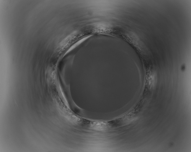 X0000116120716200912141045