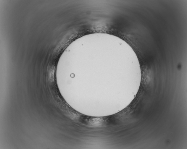 X0000116120717200912141045