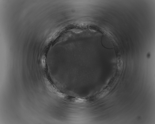 X0000116120718200912141045