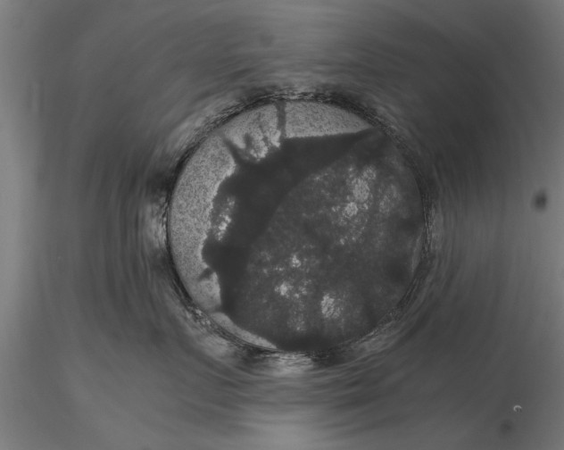 X0000116120719200912141045