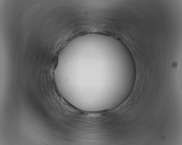 X0000116120720200912141045