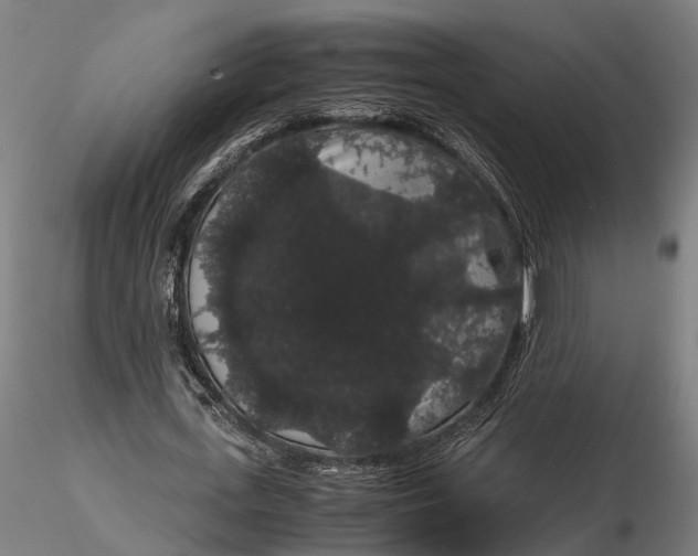 X0000116120723200912141045