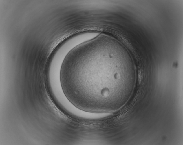 X0000116120725200912141045