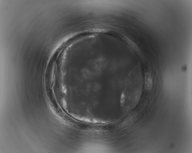 X0000116120726200912141045