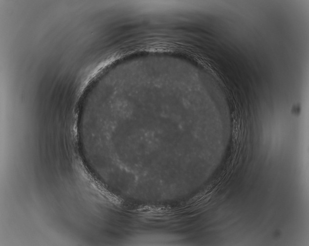 X0000116120727200912141045