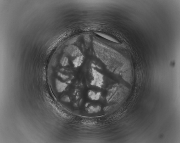 X0000116120729200912141045