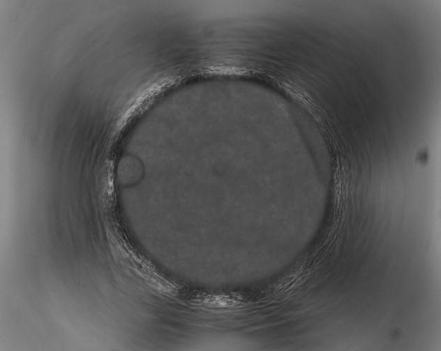 X0000116120731200912141045