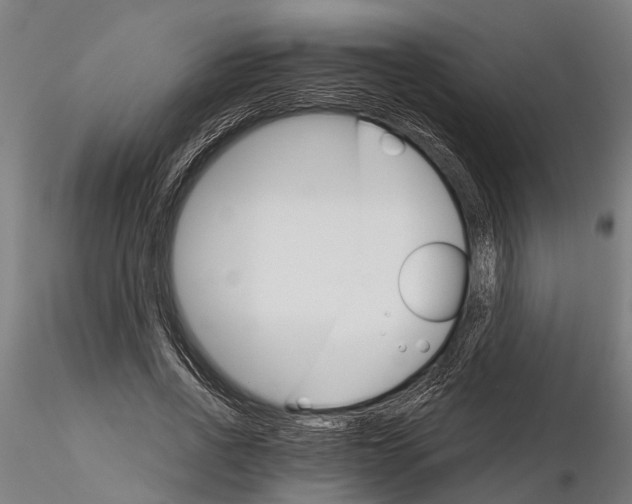 X0000116120734200912141045