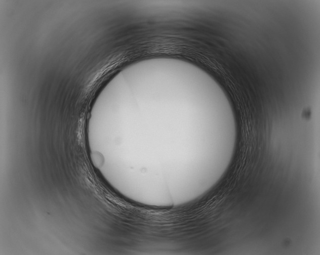 X0000116120735200912141045