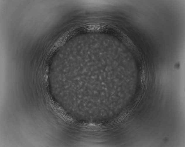 X0000116120737200912141045