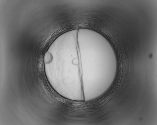 X0000116120739200912141045