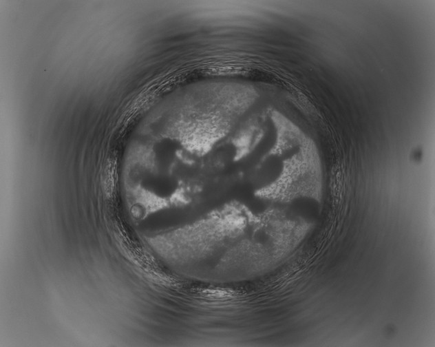 X0000116120741200912141045