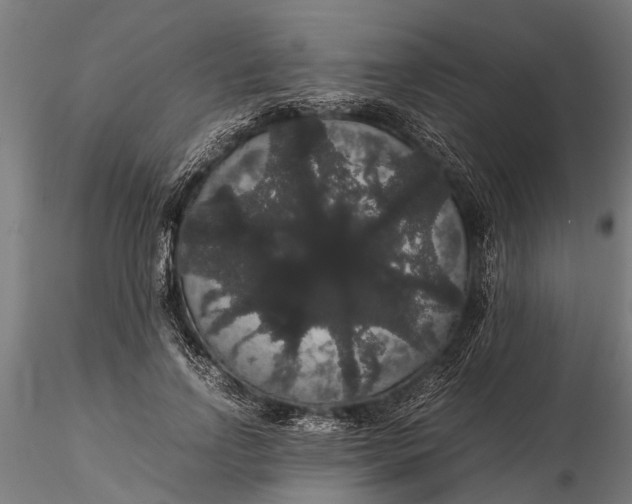 X0000116120742200912141045