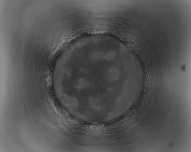 X0000116120743200912141045