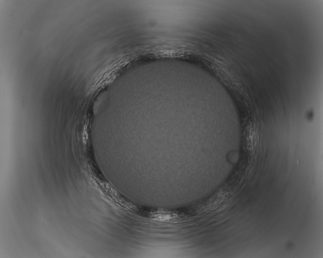 X0000116120746200912141045