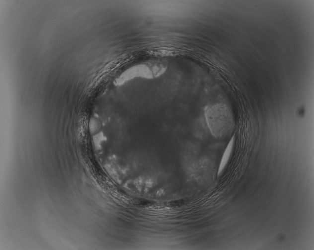 X0000116120747200912141045