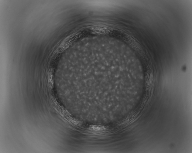 X0000116120749200912141045