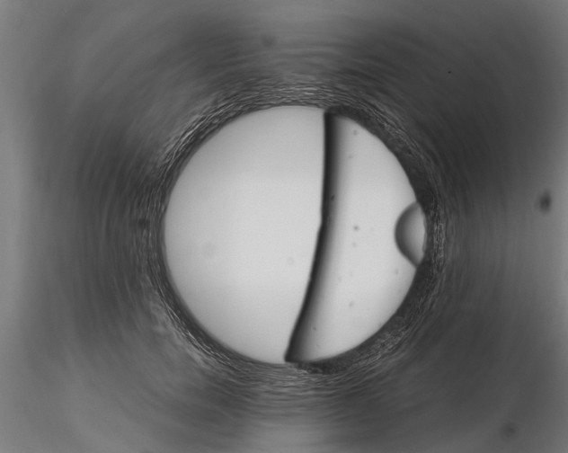 X0000116120750200912141045